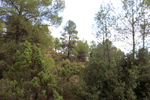 Los Molinillos.  Minglanilla. Cuenca