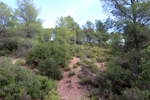 Los Molinillos.  Minglanilla. Cuenca