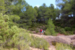 Los Molinillos.  Minglanilla. Cuenca