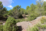 Los Molinillos.  Minglanilla. Cuenca