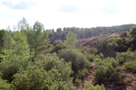 Los Molinillos.  Minglanilla. Cuenca