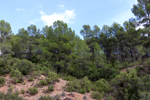 Los Molinillos.  Minglanilla. Cuenca