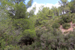 Los Molinillos.  Minglanilla. Cuenca
