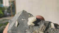 IMG_0073.jpg (59423 bytes)