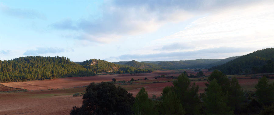El Retamal. La Pesquera. Cuenca. Grupo Mineralogico de ALicante