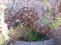 Cantera de Yeso las Viudas. La Alcoraia. Alicante