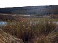 Lagunas de Rabasa. Alicante