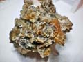 Albudeite. Murcia