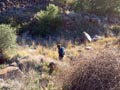 Los Pajaritos: Sierra minera de Cartagena la Unión