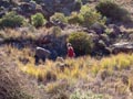 Los Pajaritos: Sierra minera de Cartagena la Unión