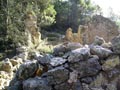 Paraje de las minicas. SIERRA DE PEDRO PONCE (ZARZADILLA DE TOTANA-Murcia)