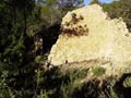 Paraje de las minicas. SIERRA DE PEDRO PONCE (ZARZADILLA DE TOTANA-Murcia)