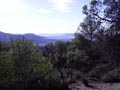 Paraje de las minicas. SIERRA DE PEDRO PONCE (ZARZADILLA DE TOTANA-Murcia)