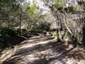 Paraje de las minicas. SIERRA DE PEDRO PONCE (ZARZADILLA DE TOTANA-Murcia)