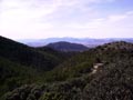 Paraje de las minicas. SIERRA DE PEDRO PONCE (ZARZADILLA DE TOTANA-Murcia)