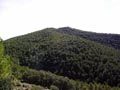 Paraje de las minicas. SIERRA DE PEDRO PONCE (ZARZADILLA DE TOTANA-Murcia)