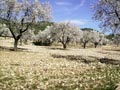 Paraje de las minicas. SIERRA DE PEDRO PONCE (ZARZADILLA DE TOTANA-Murcia)