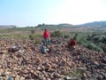 Minas del Carmen. La Celia. Jumilla (Murcia) y Salinas de la Rosa, Sierra el Carche, Jumilla (Murcia)