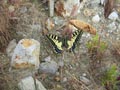 Paseo por Nijar, Radalquilar y Cuevas de Almanzora en Almería