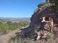 Mina Cuesta Alta. Cerro Minado. Huercal Overa. Almería