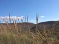 El Hoyazo. Nijar. Almería