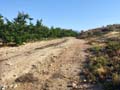 Sierra de la Espada. Fortuna. Murcia