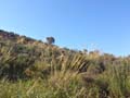 Sierra de la Espada. Fortuna. Murcia