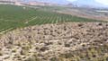 Sierra de la Espada. Fortuna. Murcia