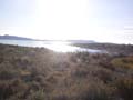 Embalse de la Pedrera. Torremendo. Orihuela. Alicante 