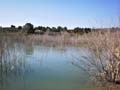 Embalse de la Pedrera. Torremendo. Orihuela. Alicante 