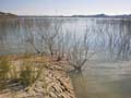 Embalse de la Pedrera. Torremendo. Orihuela. Alicante 