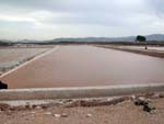 Salinas de la Redonda. Caudete 