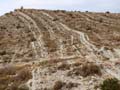 Discordancia de Villafranqueza. Lomas del Garbinet. Alicante