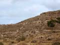 Calcita Discordancia de Villafranqueza. Lomas del Garbinet. Alicante