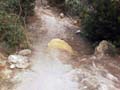 Rio Seco. Pinar de Campoverde. Pilar de la Horadada. Alicante