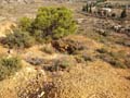 Minas de Ocre. Lomas del Sabinar. San Vicente del Raspeig. Alicante