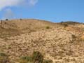 Minas de Ocre. Lomas del Sabinar. San Vicente del Raspeig. Alicante