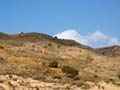 Minas de Ocre. Lomas del Sabinar. San Vicente del Raspeig. Alicante