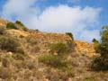 Minas de Ocre. Lomas del Sabinar. San Vicente del Raspeig. Alicante