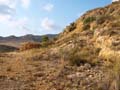 Minas de Ocre. Lomas del Sabinar. San Vicente del Raspeig. Alicante