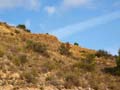 Minas de Ocre. Lomas del Sabinar. San Vicente del Raspeig. Alicante