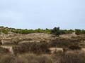 Discordancia de Villafranqueza. Lomas del Garbinet. Alicante