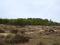 Discordancia de Villafranqueza. Lomas del Garbinet. Alicante