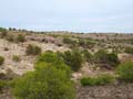 Discordancia de Villafranqueza. Lomas del Garbinet. Alicante