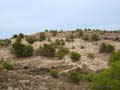 Discordancia de Villafranqueza. Lomas del Garbinet. Alicante