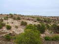 Discordancia de Villafranqueza. Lomas del Garbinet. Alicante