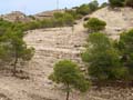 Discordancia de Villafranqueza. Lomas del Garbinet. Alicante