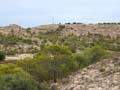 Discordancia de Villafranqueza. Lomas del Garbinet. Alicante