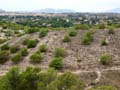 Calcita Discordancia de Villafranqueza. Lomas del Garbinet. Alicante