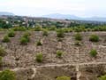 Calcita Discordancia de Villafranqueza. Lomas del Garbinet. Alicante